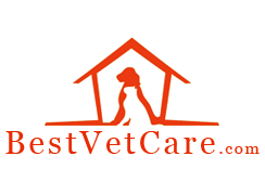 Best Vet Care