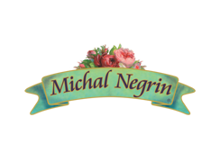 Michal Negrin